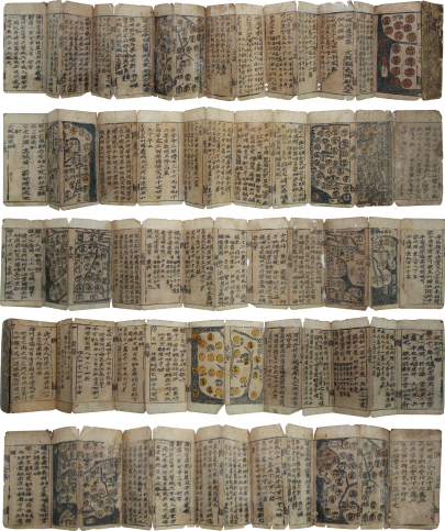 k2021_02-2.png