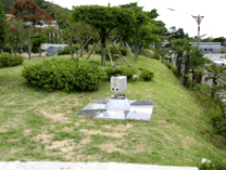 중력측량 이미지