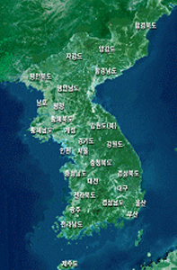 위성영상지도